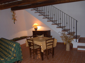 image4 Acerona