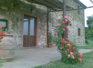 image20 Acerona