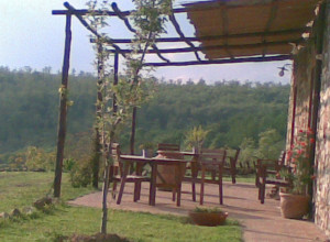 image5 Acerona