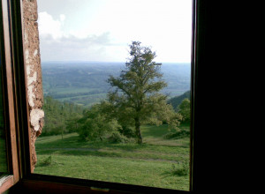 image1 Acerona