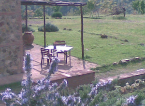 image19 Acerona