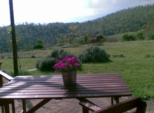 image16 Acerona