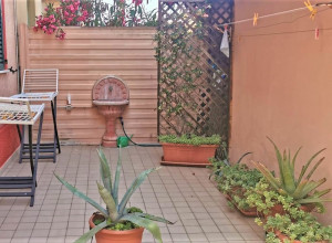 image1 Rosada