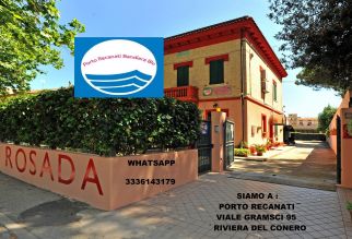 image6 Rosada