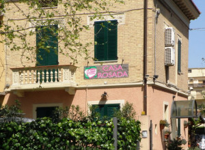 image0 Rosada