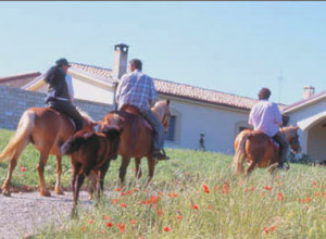 image6 Carrera Della Regina