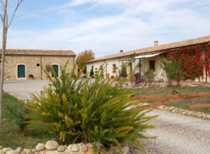 image7 Carrera Della Regina