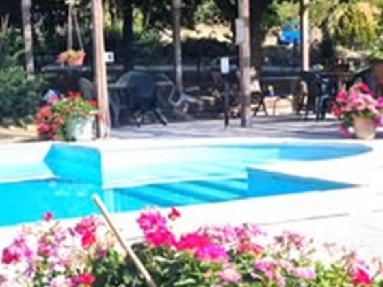 bio la tana del lele foto esterno 11