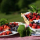 preview image3 esterno