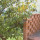 preview image3 dintorni