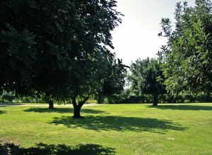 image4 Masseria Baroni Nuovi