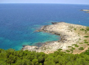 image0 Masseria Baroni Nuovi