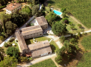  alle vigne di pace