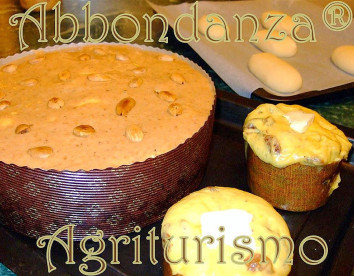 abbondanza®