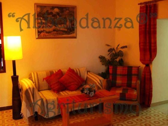 Abbondanza® - foto 23