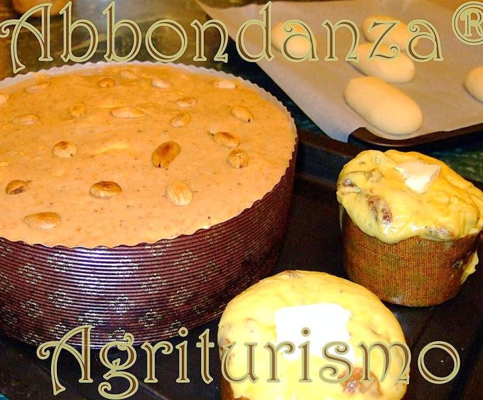 Agriturismo Abbondanza®