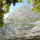 preview image0 esterno