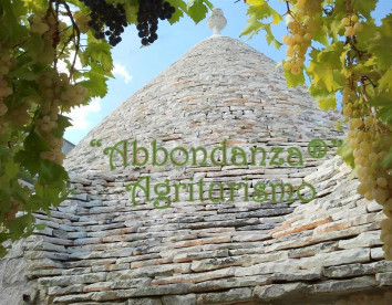 abbondanza®