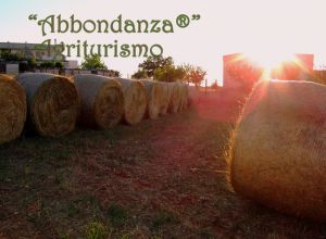 image7 Abbondanza®