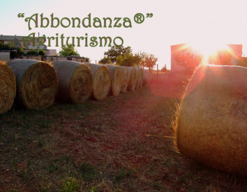 abbondanza®