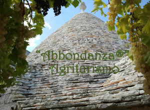 Gestore: Abbondanza