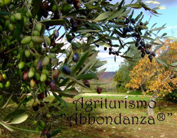 abbondanza®