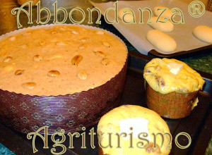 abbondanza®