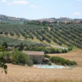 Le Quattro Stagioni