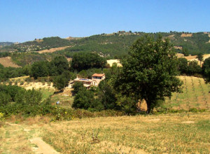 image0 Tra Cielo E Terra