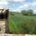 preview image20 esterno