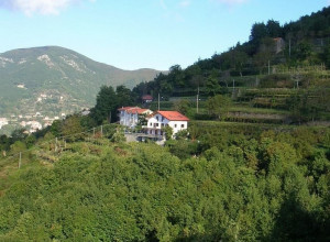 image5 Il Castagno