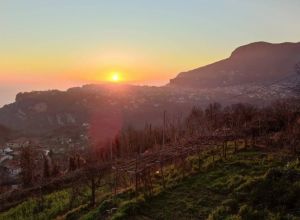 image0 Il Castagno