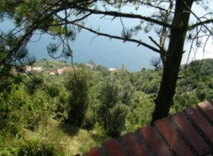 image10 Il Castagno