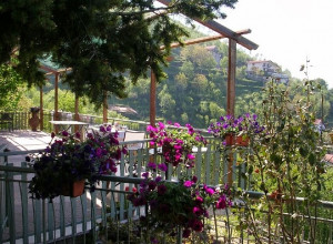 image26 Il Castagno