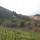 preview image17 esterno
