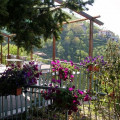 Il Castagno