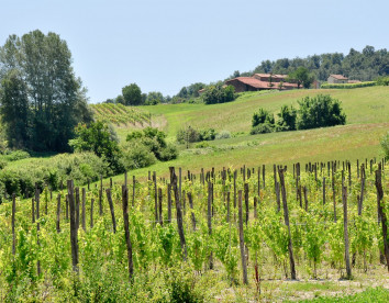 monferrato resort