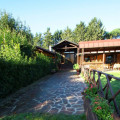 Iacchelli