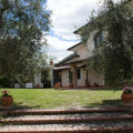 Il Bagolaro