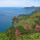 preview image1 esterno
