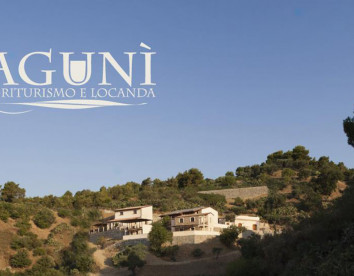 agunì