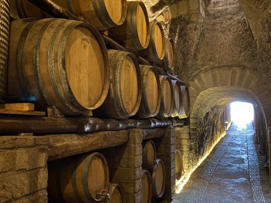 tenute del gheppio foto esterno 35