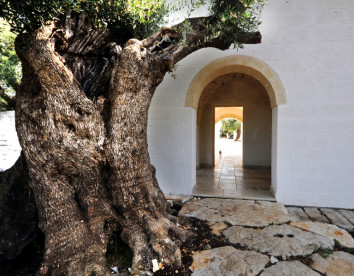 masseria de michele