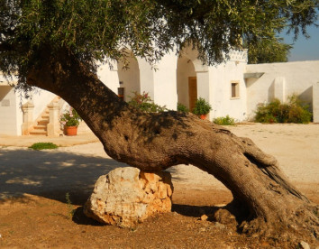 masseria de michele