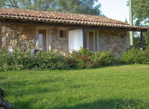 image10 Cudacciolu