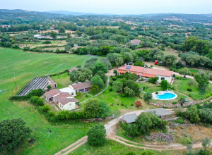 image9 Cudacciolu