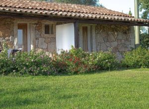 image5 Cudacciolu