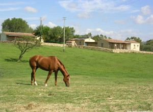image7 Cudacciolu
