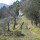 preview image7 esterno