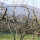preview image13 esterno